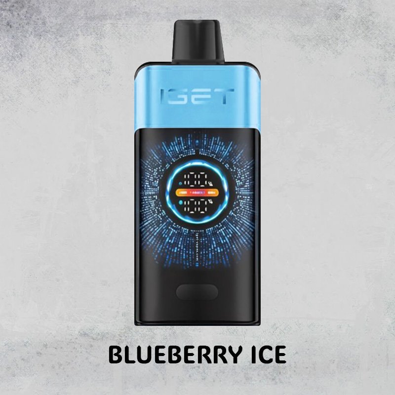 blueberry ice – iget one – 10000 puffs.jpg