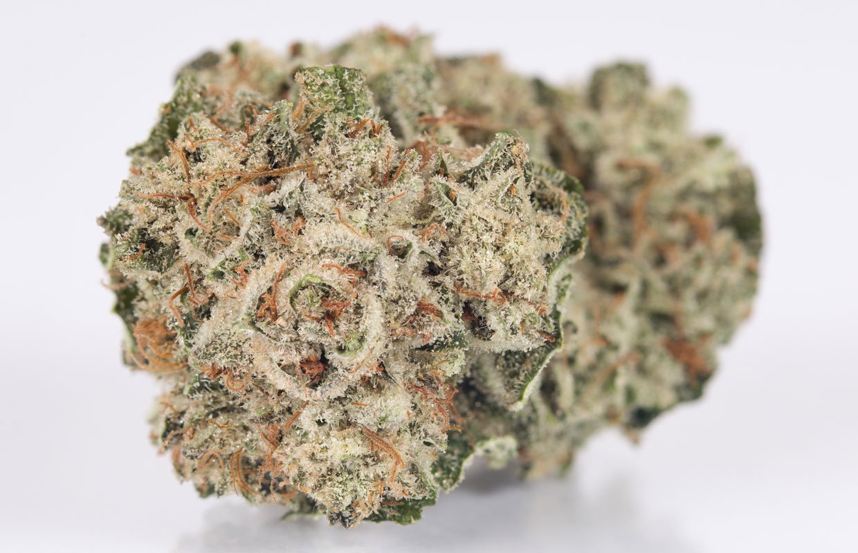 bud gorilla glue 4 weed strain.jpg bud gorilla glue 4 weed strain.jpg