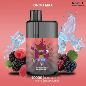groo max blueberry raspberry.webp