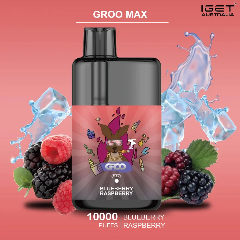 groo max blueberry raspberry.webp groo max blueberry raspberry.webp