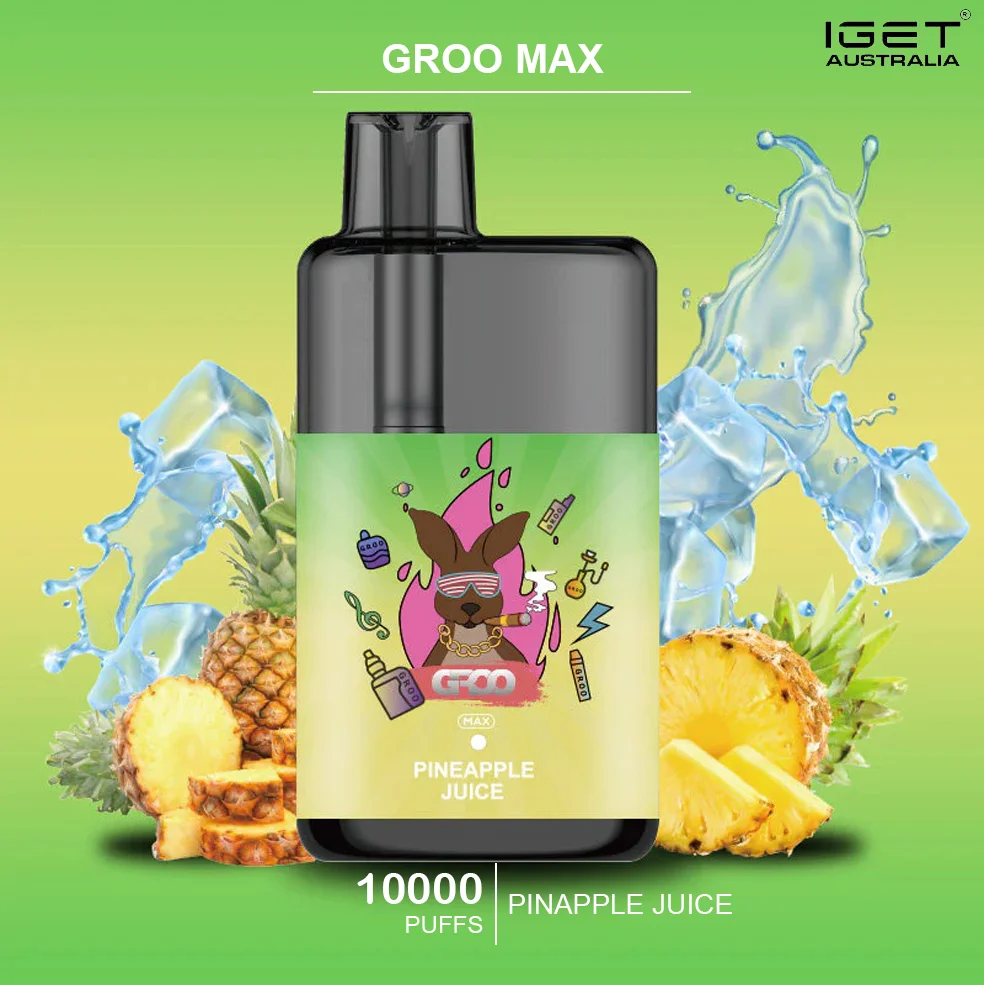 groo max pinapple juice.webp groo max pinapple juice.webp