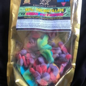 sour octopus thc gummies scaled 1.jpg