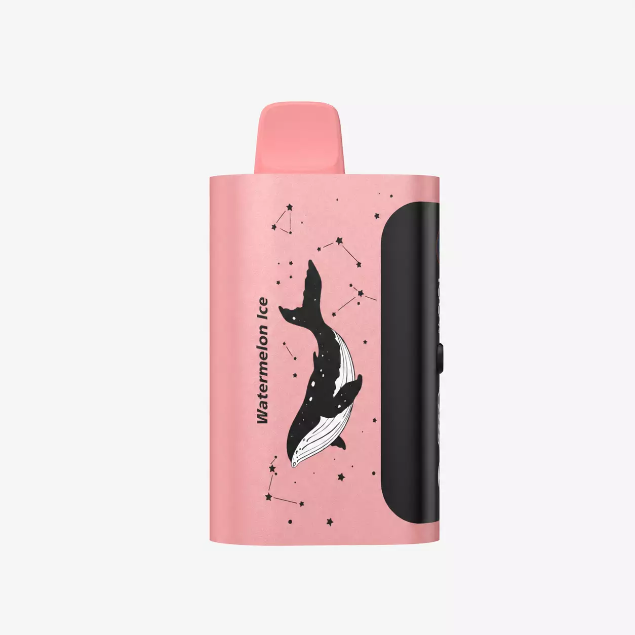 watermelon ice 1.webp