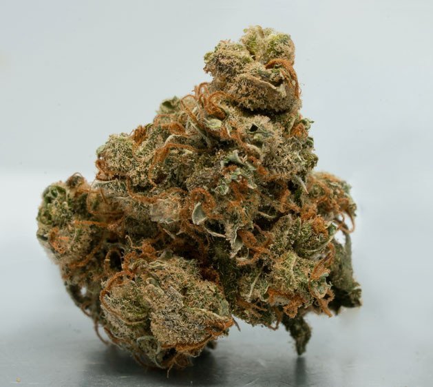 banana kush strain.jpg banana kush strain.jpg