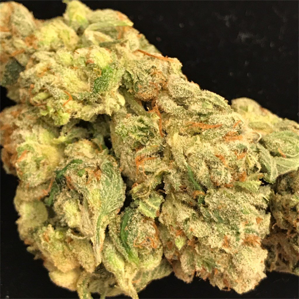 bruce banner primary 23fc.jpg bruce banner primary 23fc.jpg