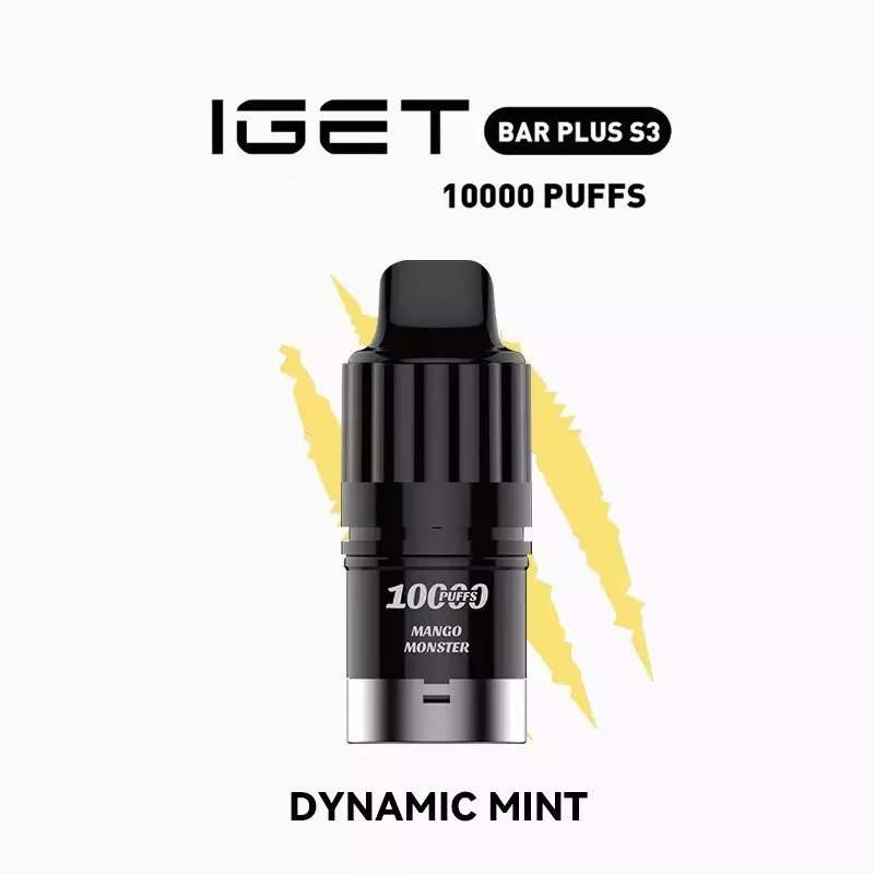 dynamic mint.jpg