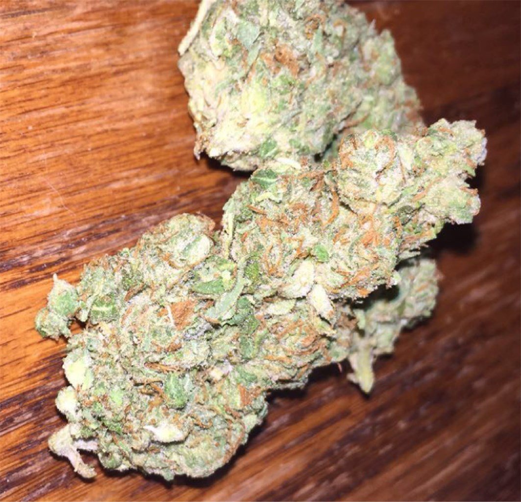 gorilla glue 4 primary b9cc.jpg gorilla glue 4 primary b9cc.jpg